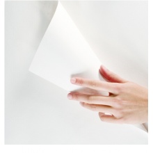 得力(deli)珊瑚海1包装70gA4复印纸 500张/包  5包/箱