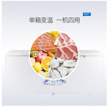 澳柯玛（AUCMA）560升大容量冷柜 商用冰柜单温冷藏冷冻双门卧式大冷柜BC/BD-560